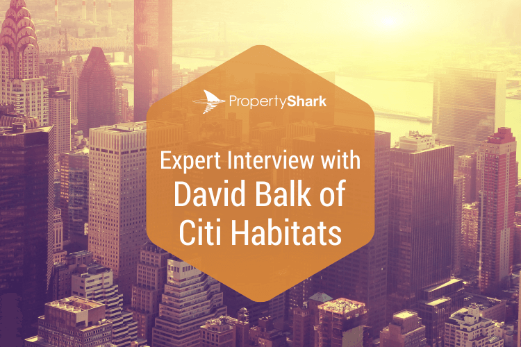 Article highlight for Expert Interview with David Balk with New York City Buildings in the background