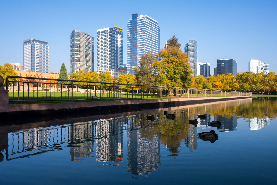 View of the Bellevue skyline