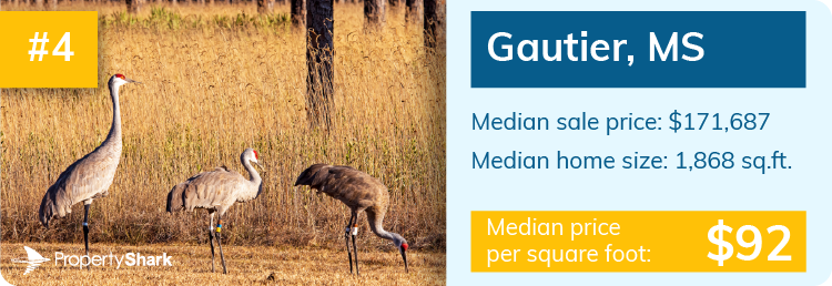 Infographic containing median sale price, median home size and median price per square foot for Gautier, MS.