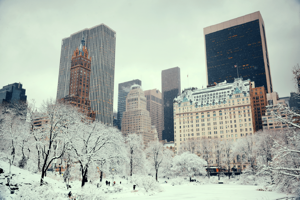 NYC skyline from central park w snow