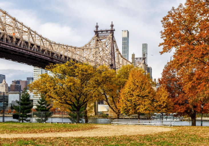 NYC-foreclosure-report-Q3-2025